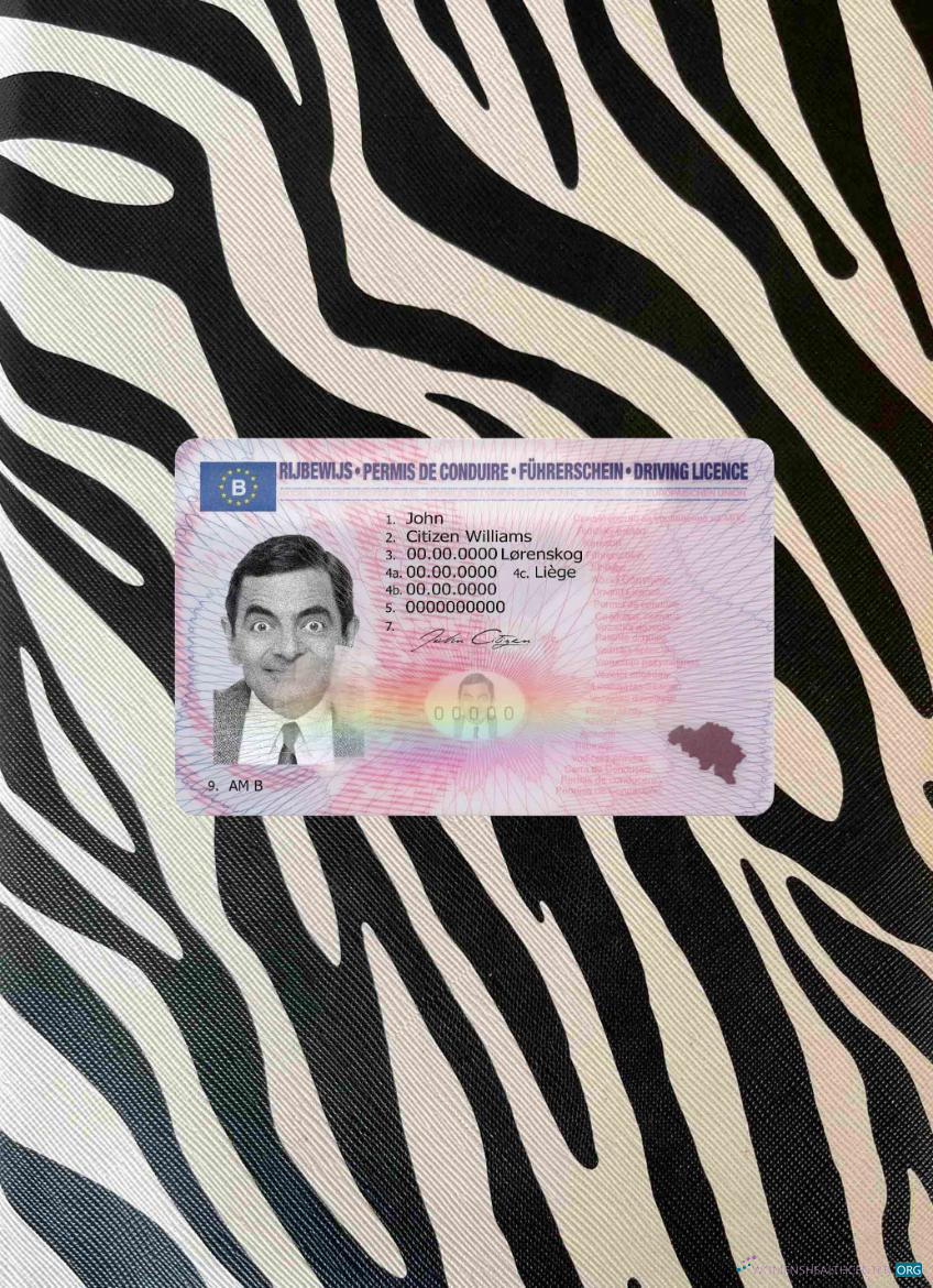 Download Belgium DL version 2 photolook FRONT Photoshop template